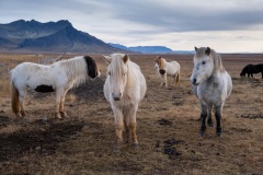 Snæfellsnes