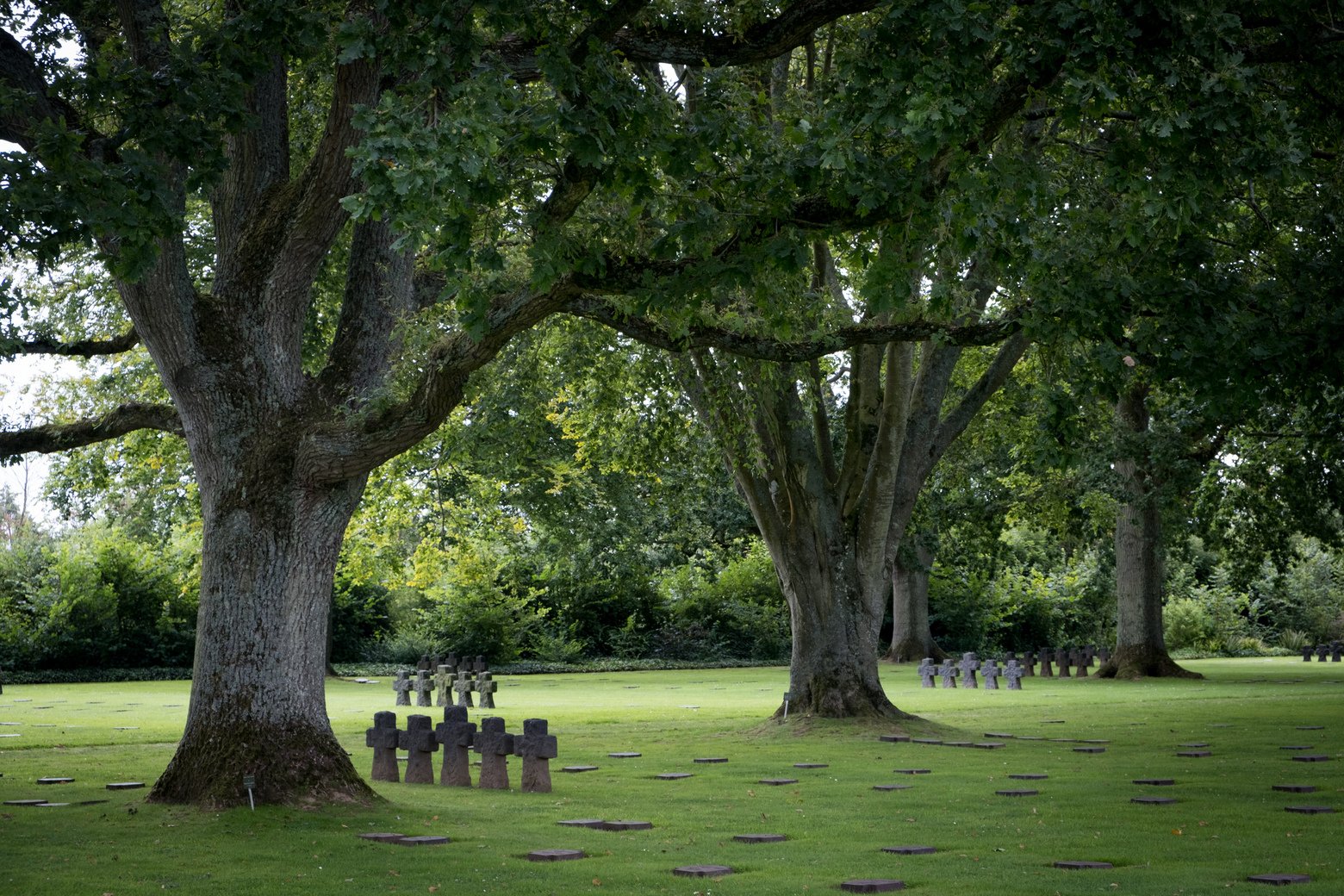 Cimetière militaire Allemand de La Cambe