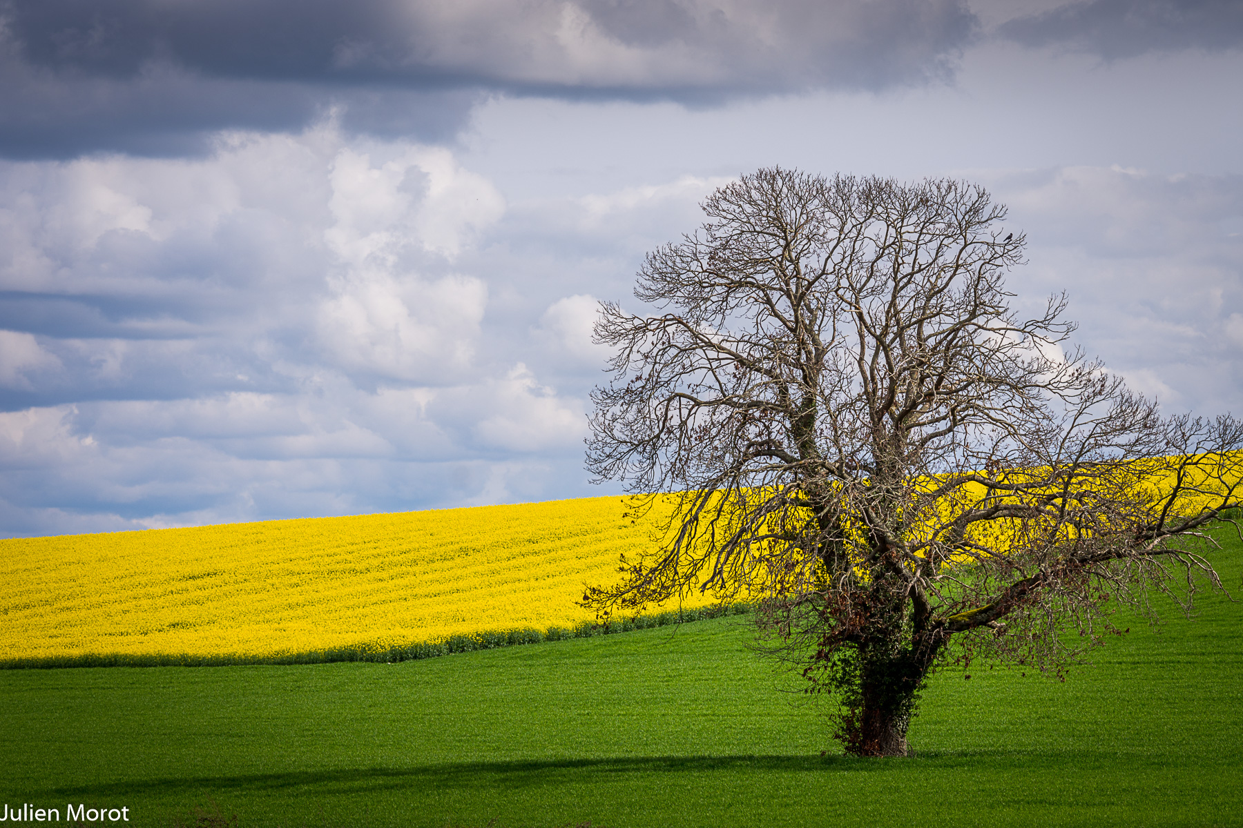 Touraine