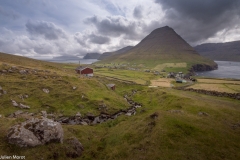 Viðareiði
