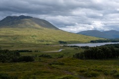 Ecosse