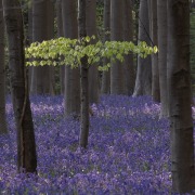 DSCF5345