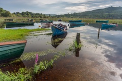 Donegal