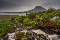 Donegal