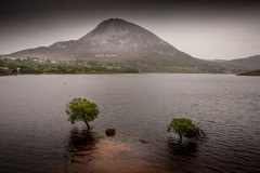 Donegal