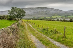 Irlande