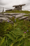 Irlande