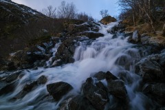 Lofoten