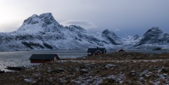 Lofoten