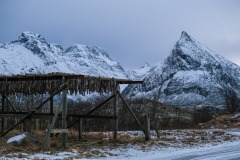 Lofoten