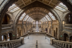 Natural History Museum