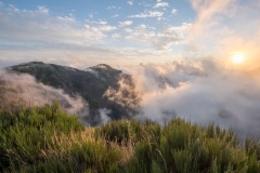 Pico do Arieiro