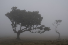DSCF4324