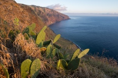 Ponta do Pargo Lighthouse