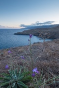 Ponta de São Lourenço