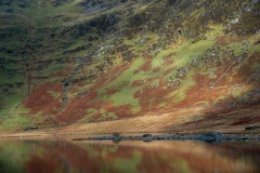 Wales