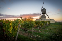 Montsoreau - Moulin de la Tranchée