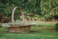 Jardin botanique