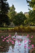 Jardin botanique